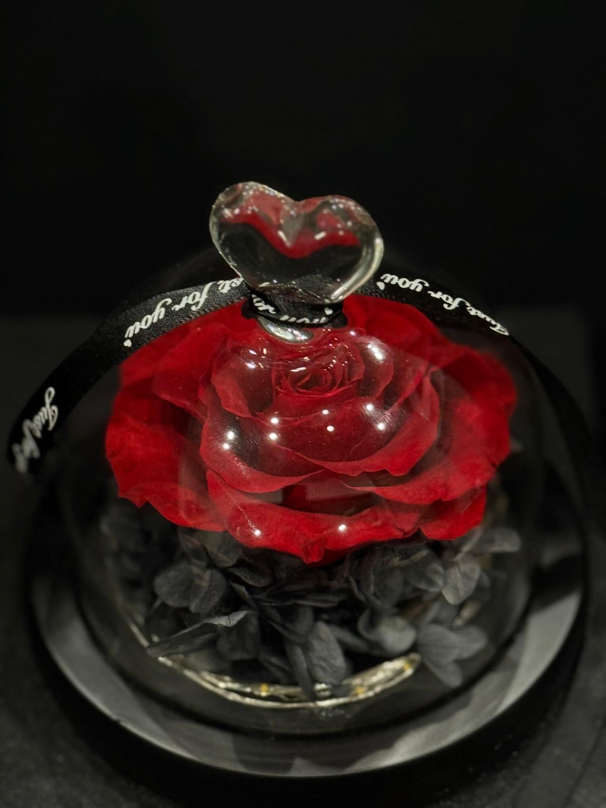 Florevorist Single Dome