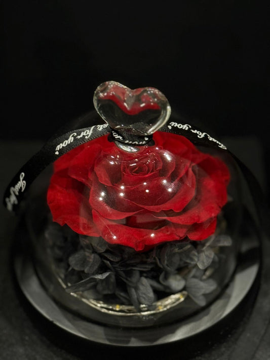 Florevorist Single Dome