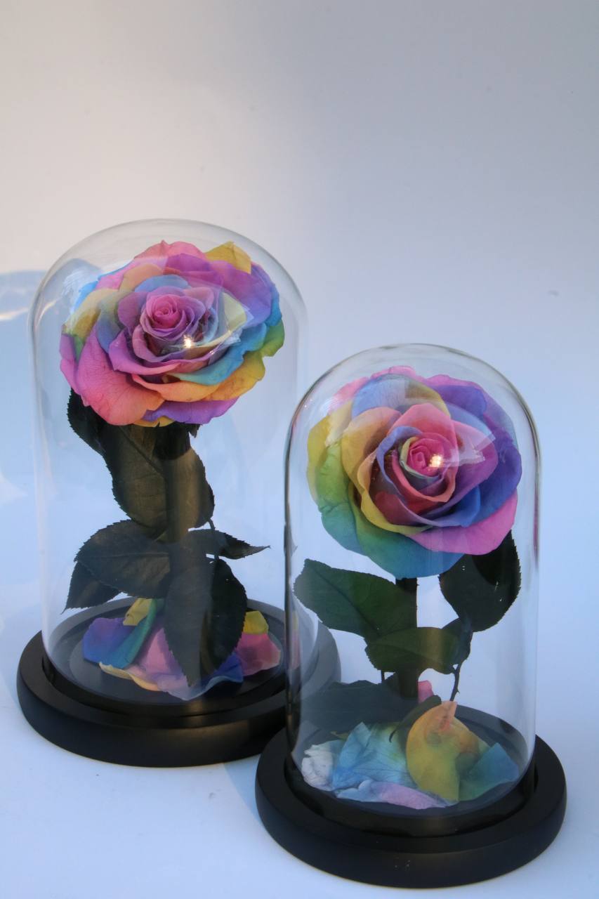 Mini Rainbow
