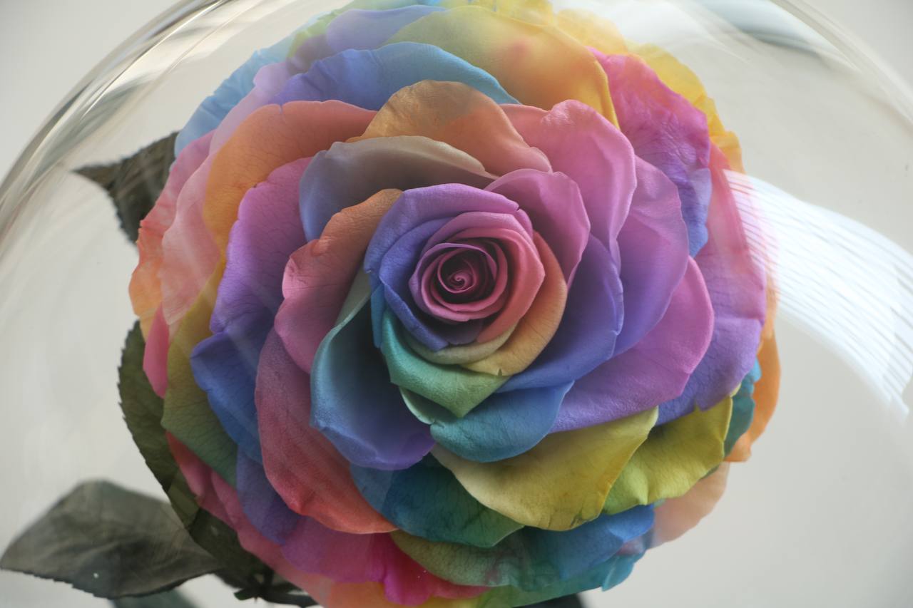 Mini Rainbow