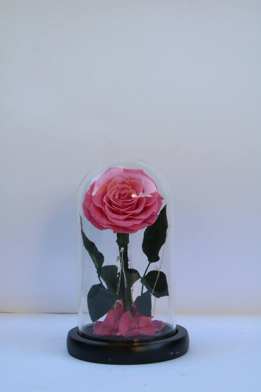 Sweet pink Mini
