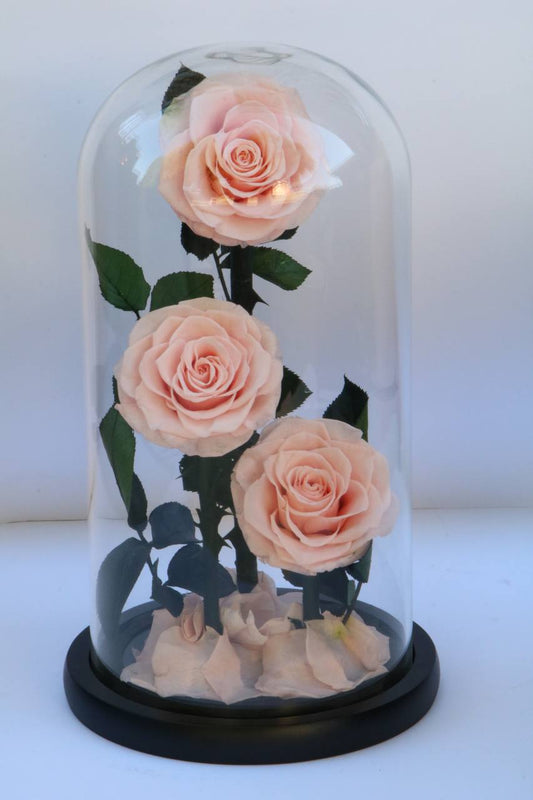 Florever Lasting Rose Triple- Sweet Pink