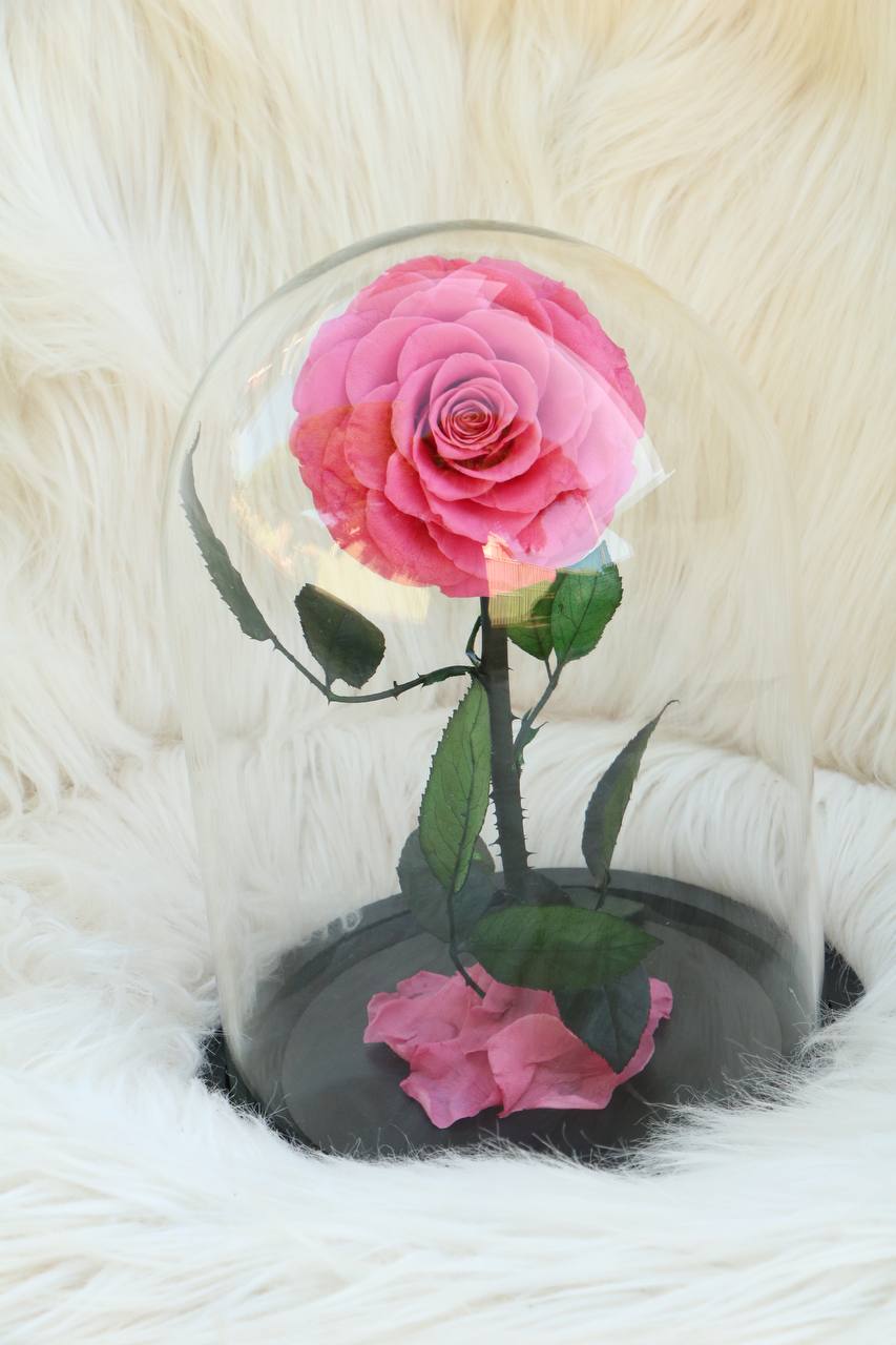 Florever Largest Rose - Sweet Pink