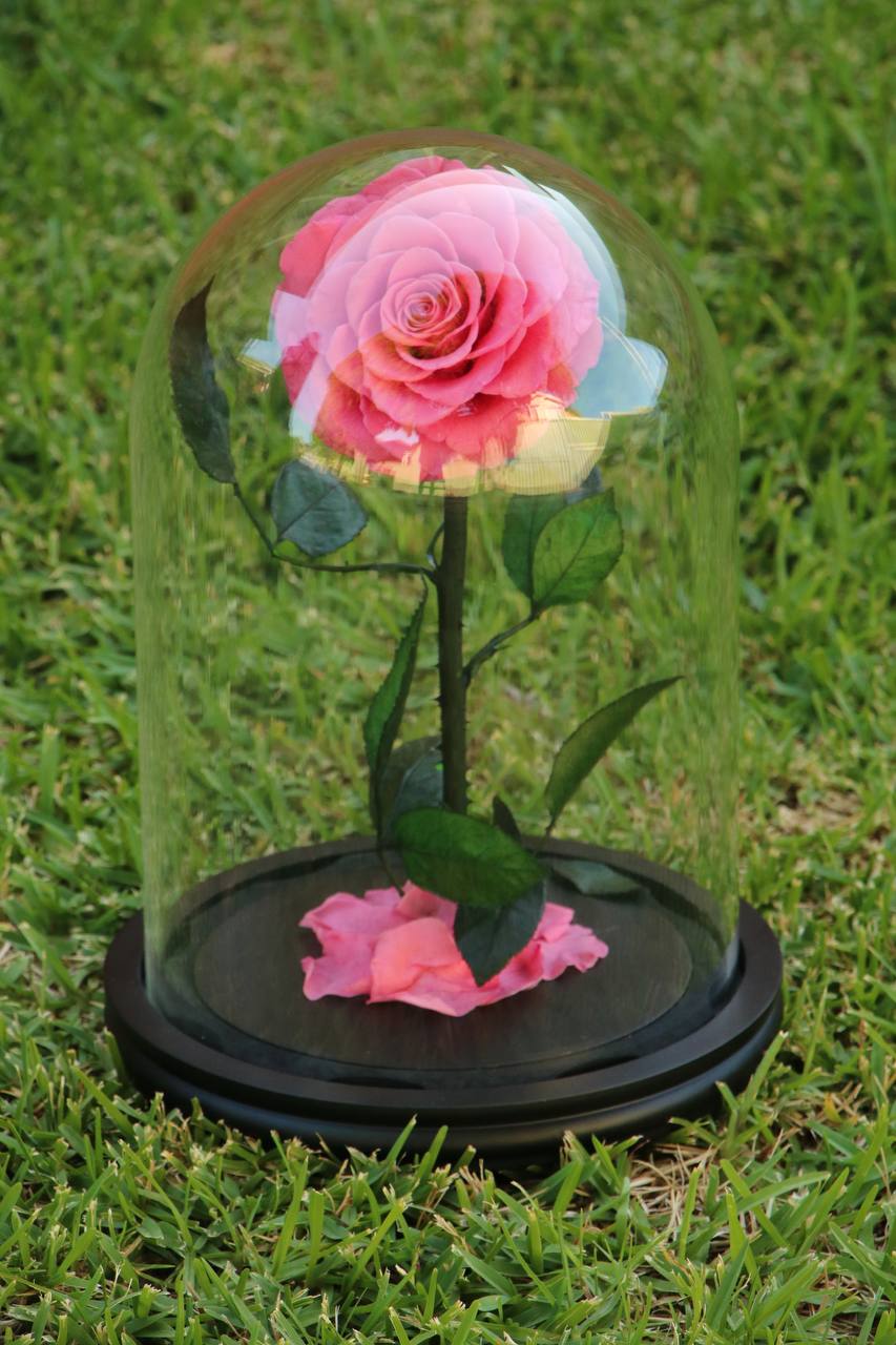 Florever Largest Rose - Sweet Pink