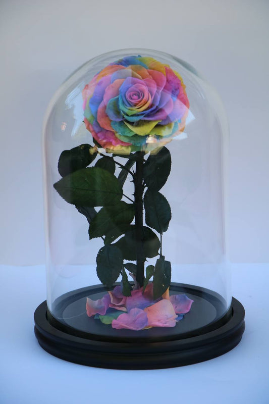 Florever Largest rose - Rainbow