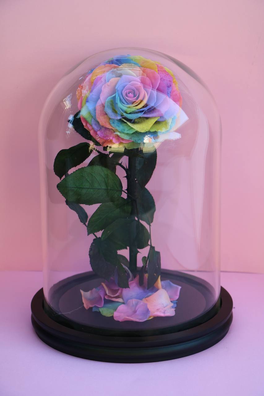 Florever Largest rose - Rainbow