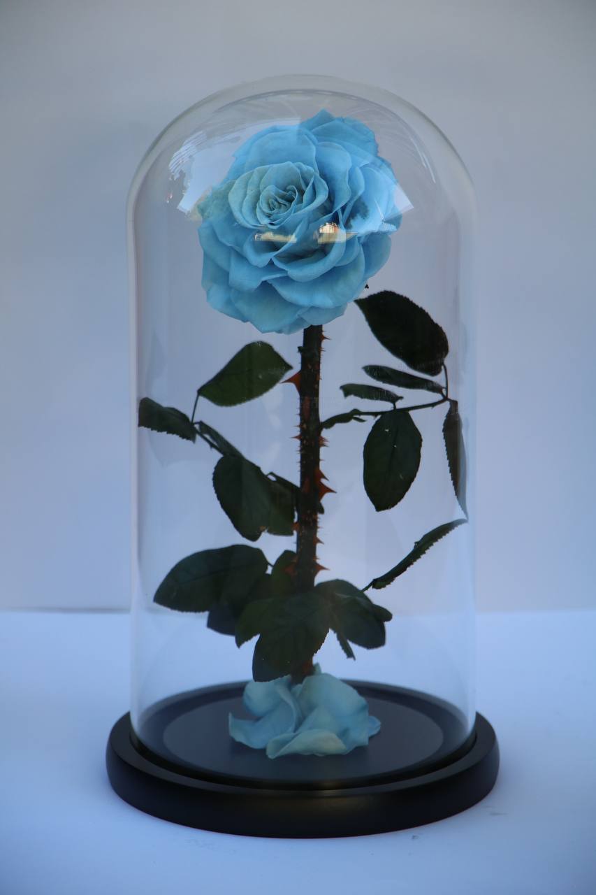 Florever lasting flower dusty blue