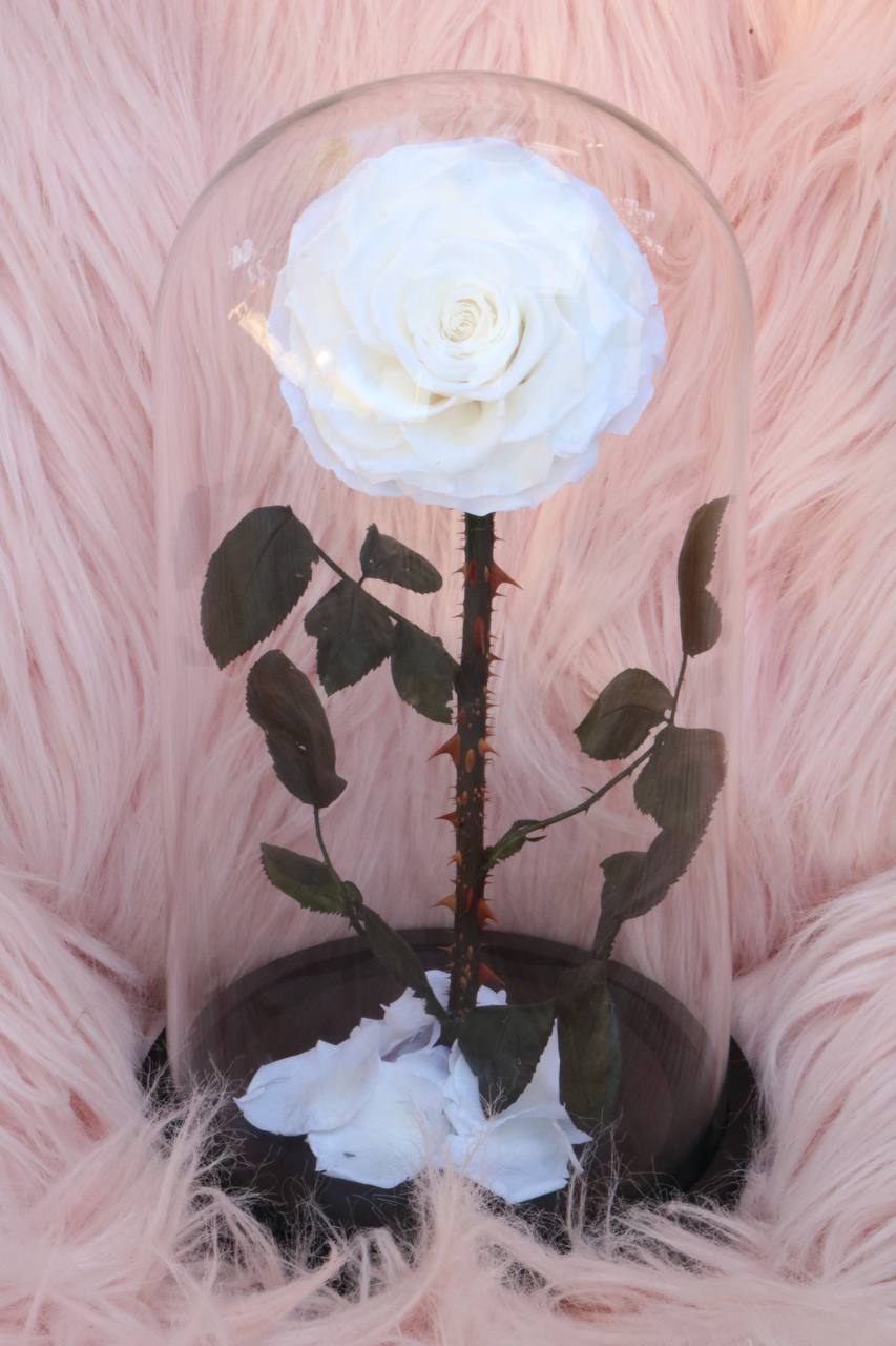 Florever lasting road- White
