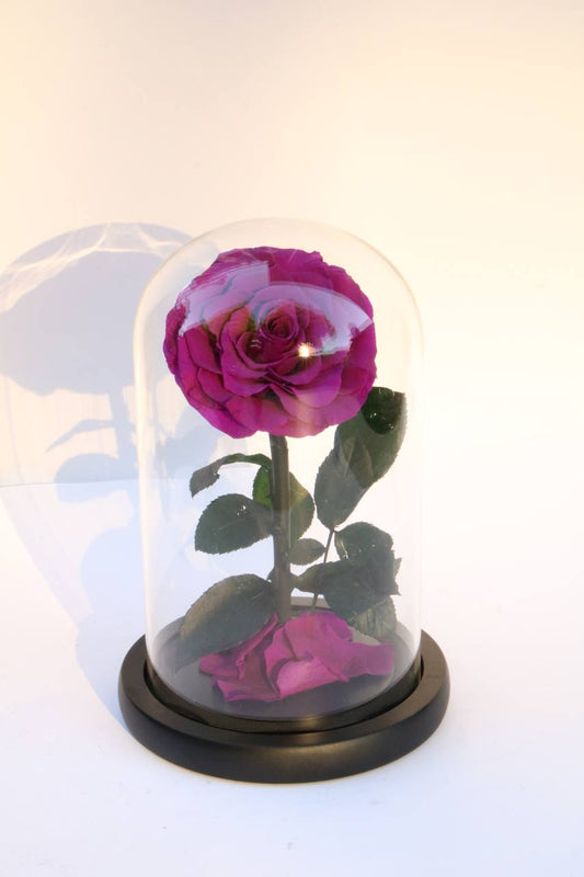 Florever Flower mini- Purple