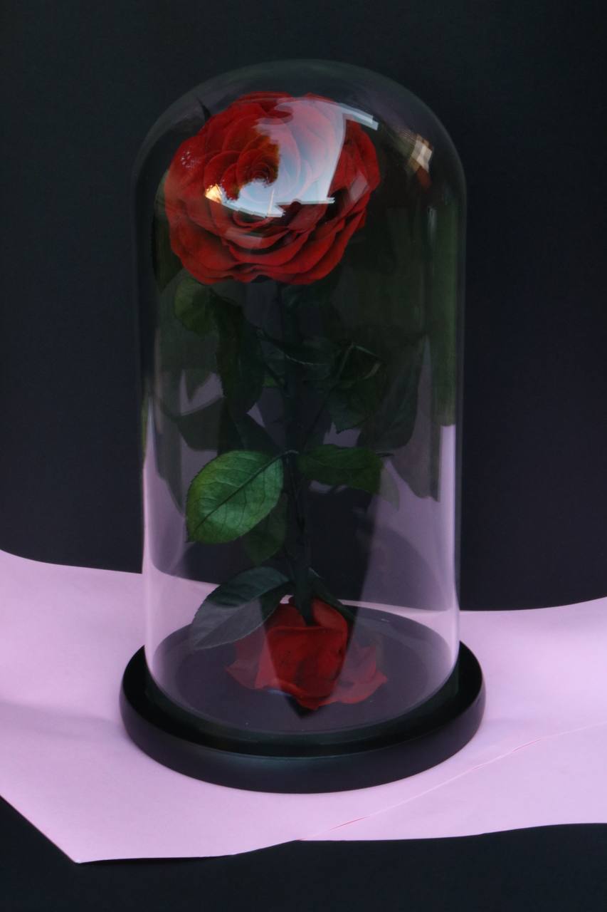 Florever Lasting Rose -Red