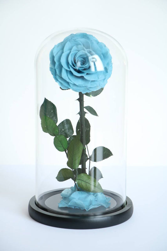 Florever Lasting Rose - Sky Blue